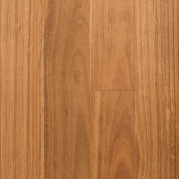 Regency-Hybrid-Advanced-Blackbutt-Swatch-1.jpg