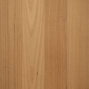 regency-hybrid-advanced_blackbutt-12mm-swatch_500x500px_01-1.jpg