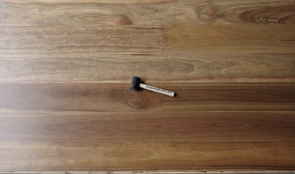 Spotted Gum | Engineered Flooring