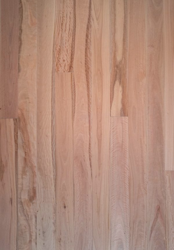 Pacific Blackbutt | Engineered Flooring