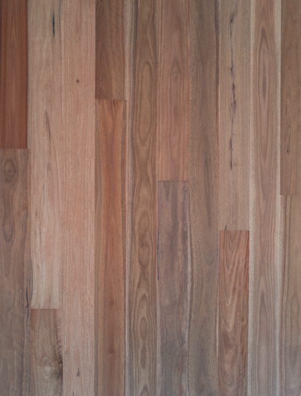 Pacific Spotted Gum | Engineered Flooring