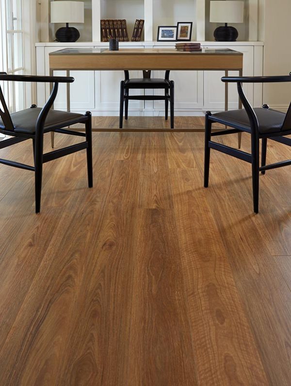 Spotted Gum - Image 2