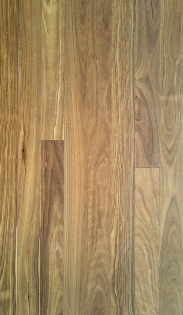 Tallowwood | 1 Strip Pre-finished Solid Hardwood Flooring