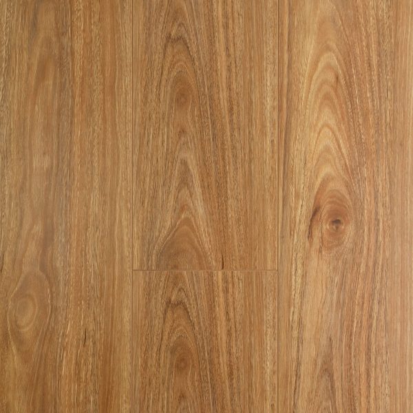 Spotted Gum - Image 4